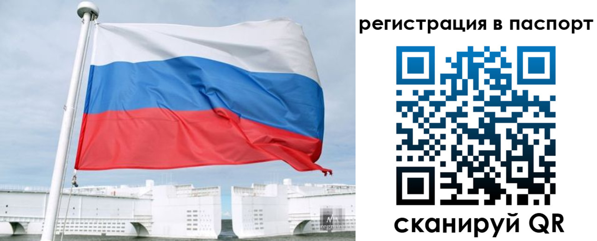 регистрация в Псковской области